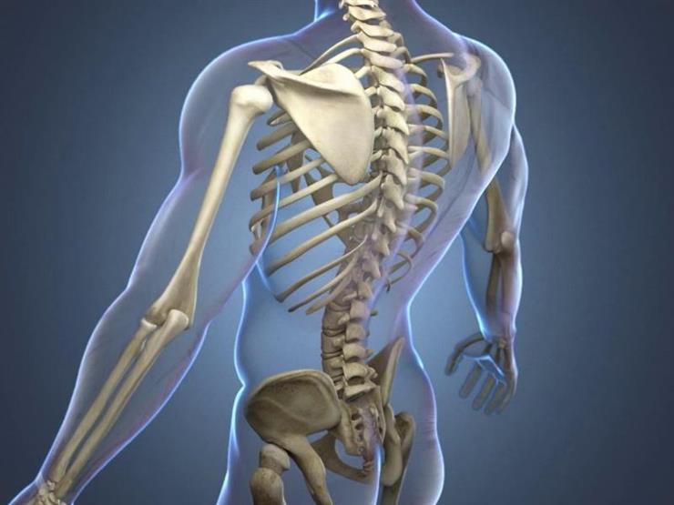 كيف يتم تشخيص أورام العظام؟.. أعرف التفاصيل الكاملة