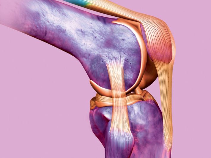 وصف الركبة من الداخل