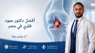 أفضل دكتور عمود فقري في مصر